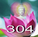 Antig304