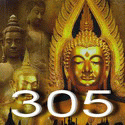 Antig305