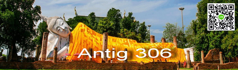 Antig306