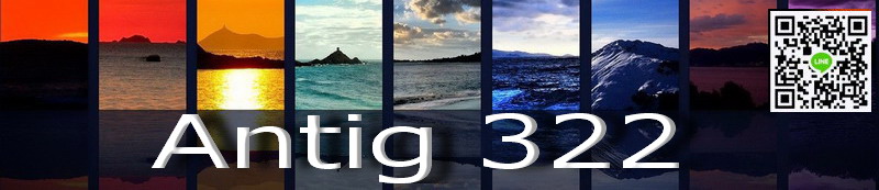 Antig322